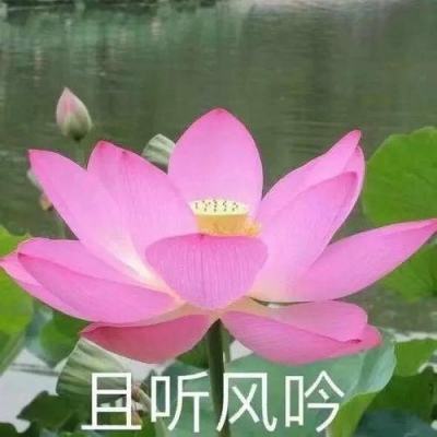 直击华南工博会，研祥智能引领“中国智造”...